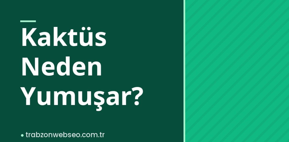 Kaktüs Neden Yumuşar?